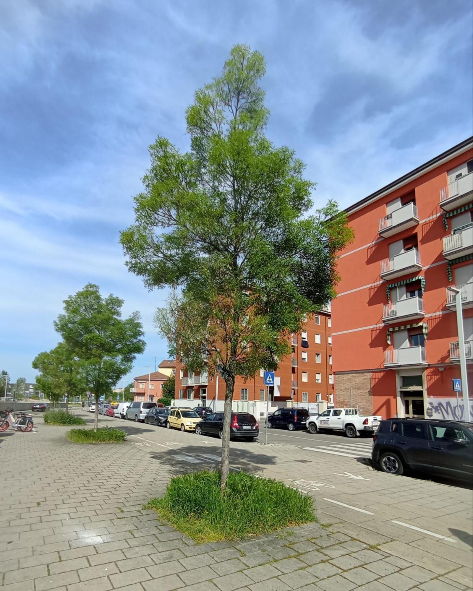 La Dimora Degli Artisti - Bologna住宿加早餐旅馆 外观 照片